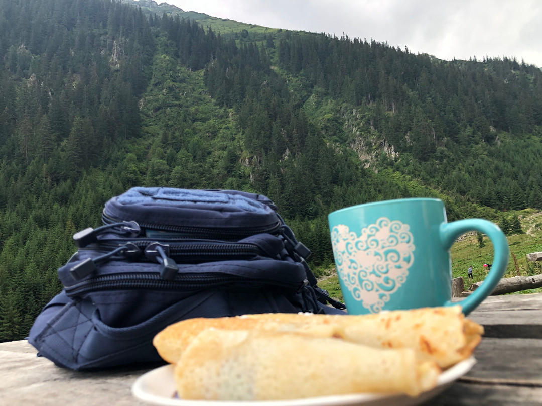 Fagaras Mountains景点图片