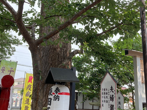 Ko Shrine-鸿巢市必去景点