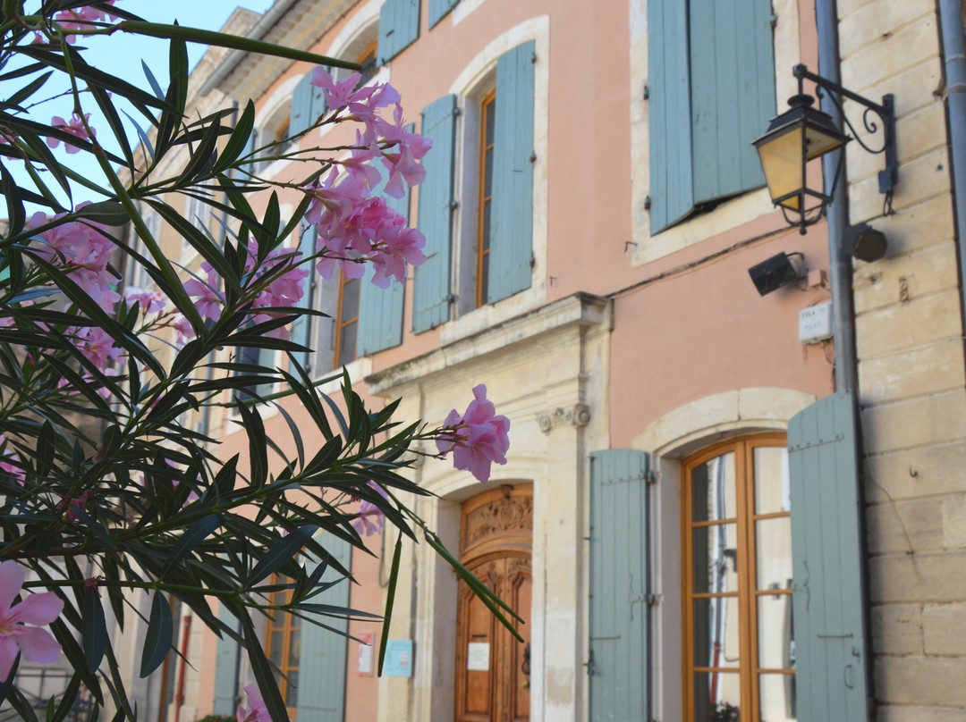 Office de Tourisme Drome Sud Provence景点图片