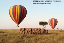 Explore masai mara safaris景点图片