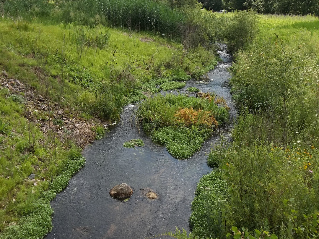 Red Mill County Park景点图片