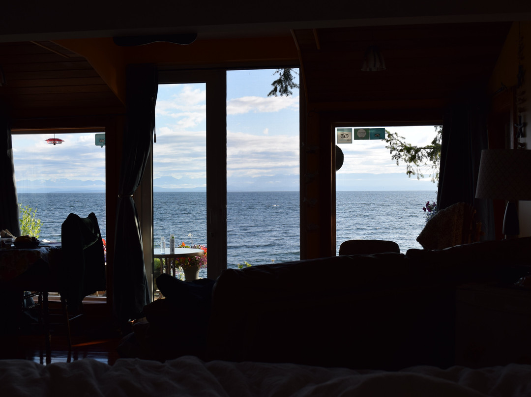 Bella's Beachfront B&B主图