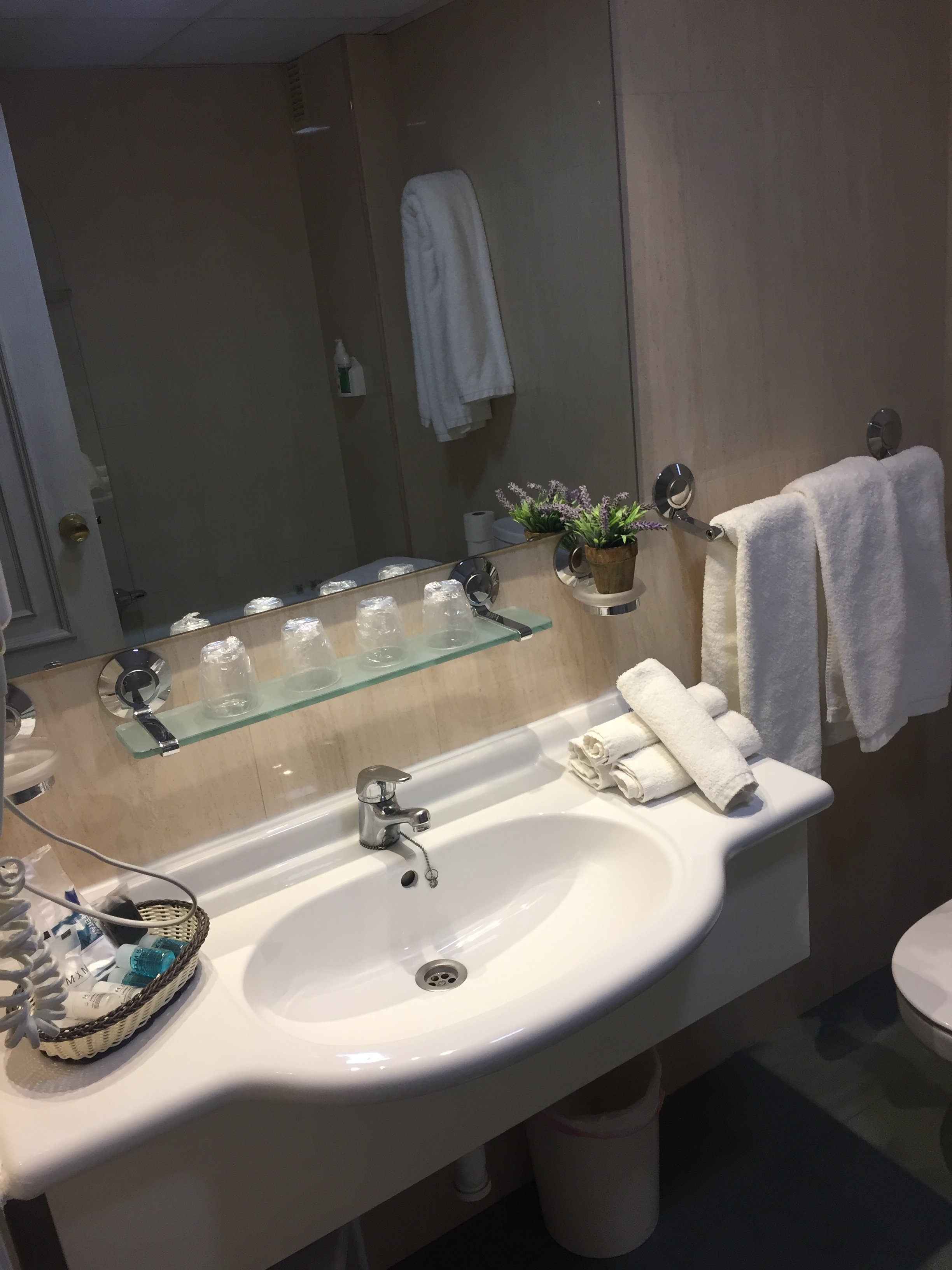Ares Hotel-浴室