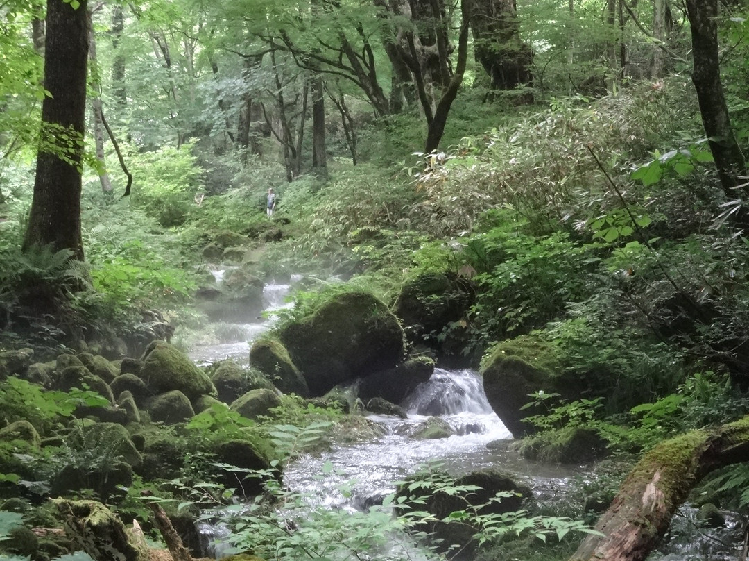 Kitanizawa Stream景点图片