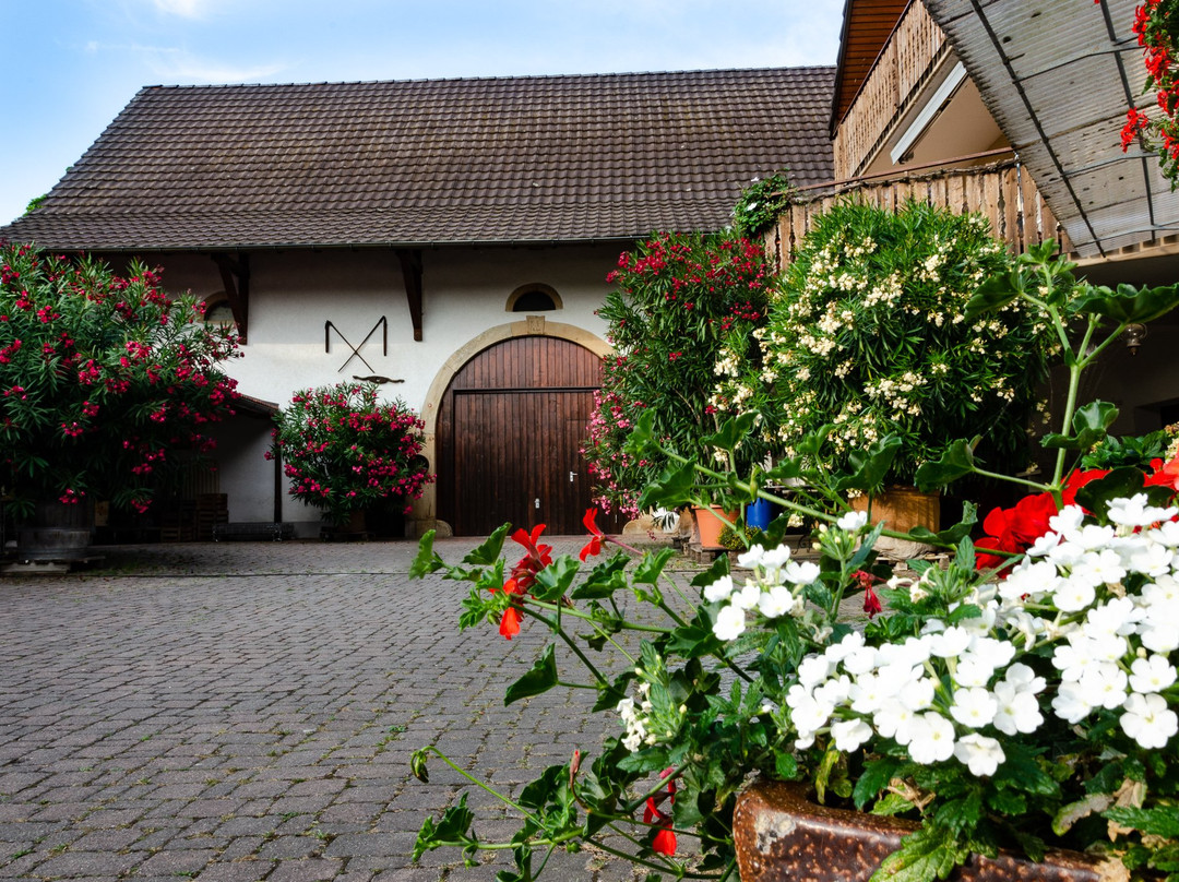 Weingut Sommerhalter景点图片