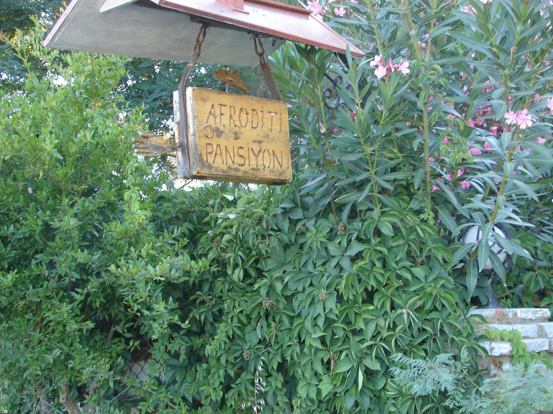 Sagir'in Bahcesi-博兹贾阿达必去景点