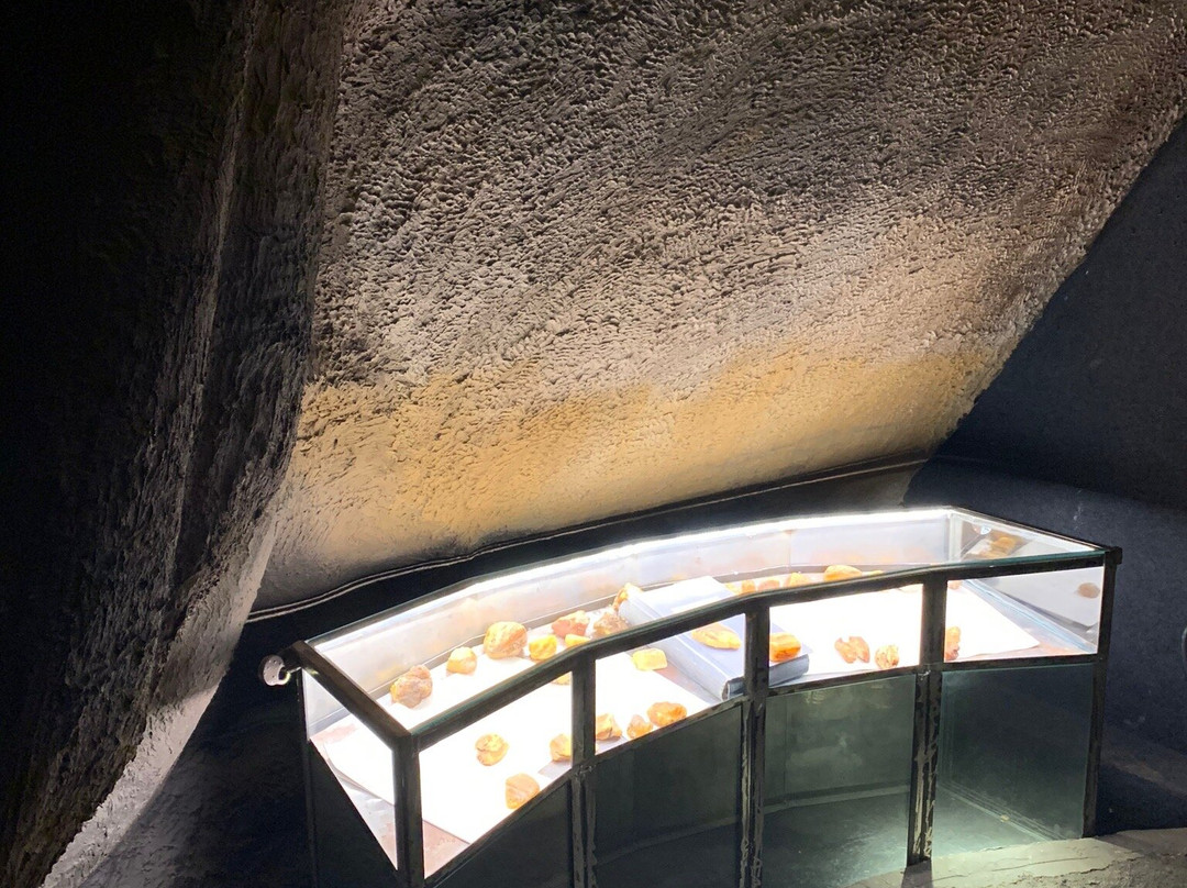 Amber Museum景点图片