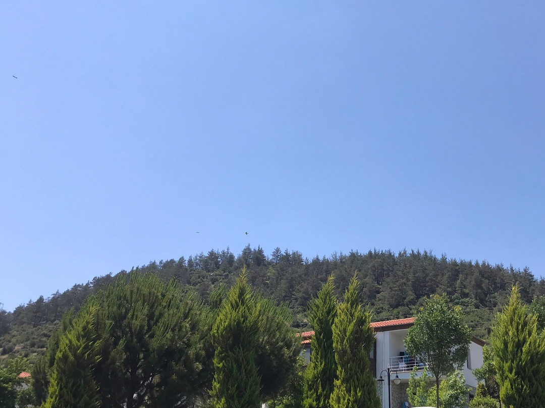 Obam Termal Resort Otel & Spa主图