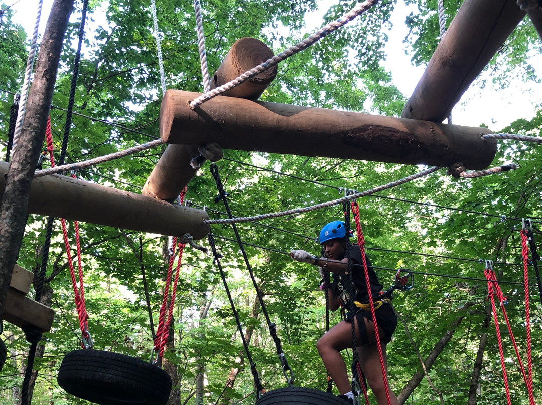 NY Zipline景点图片