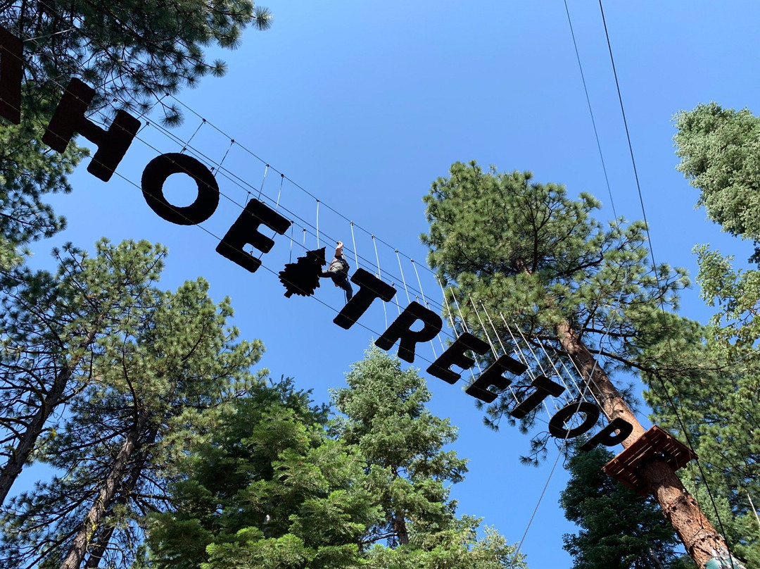 Tahoe Vista Treetop景点图片