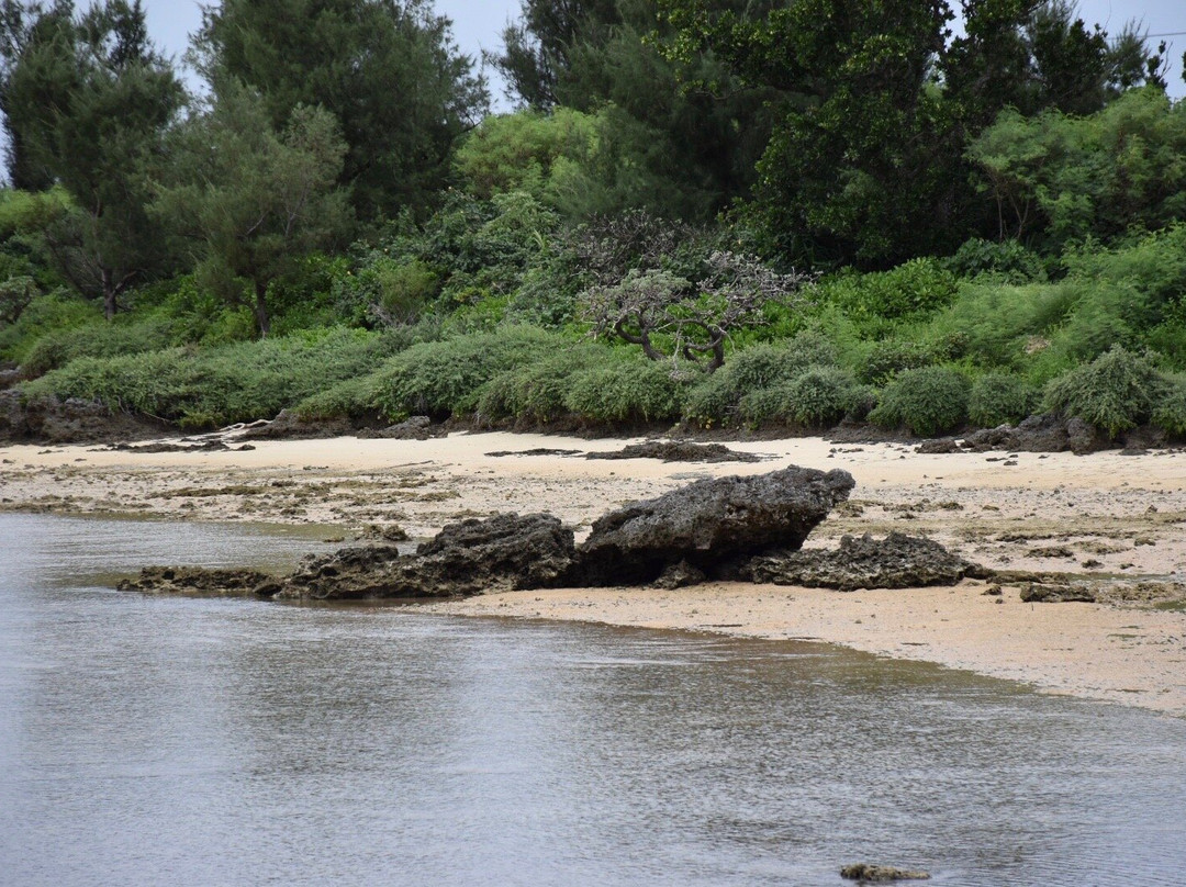 Sawada no hama Beach景点图片