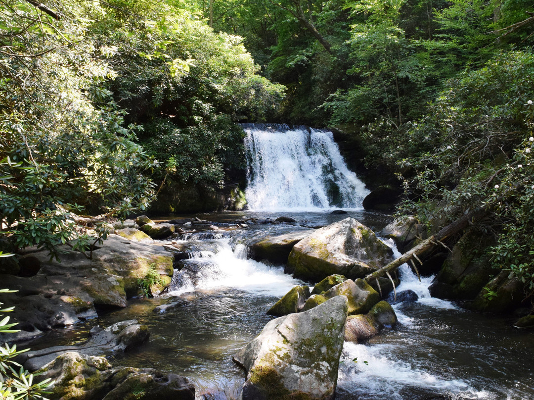 Yellow Creek Falls景点图片