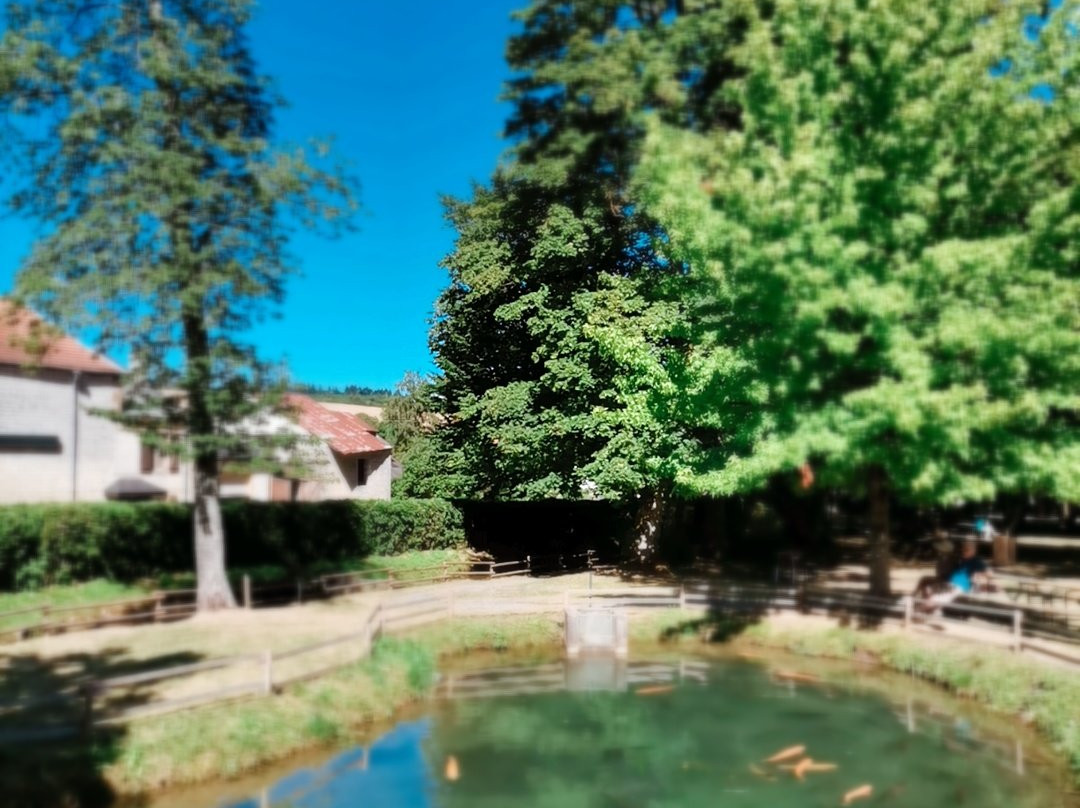 Domaine de Vendresse-Vendresse必去景点