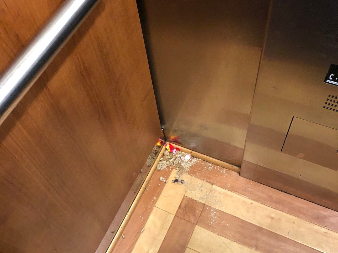 Chula Vista Resort Water Parks-威斯康星峡谷必去景点