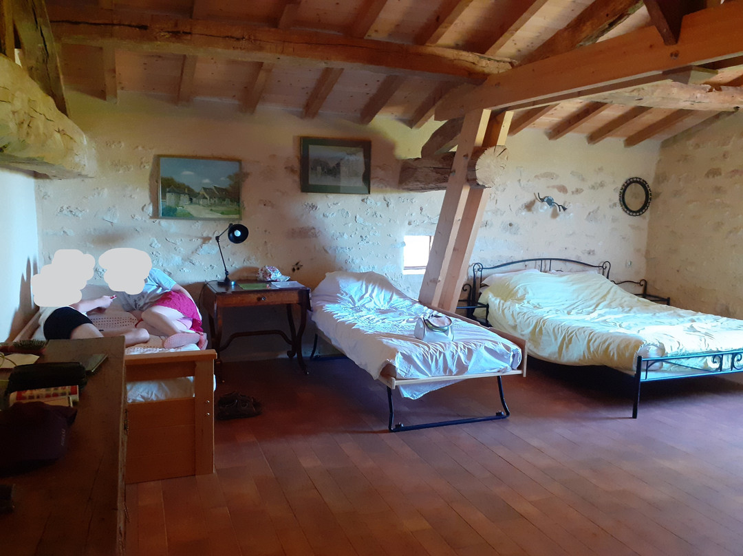 Les Secrets de Tifayne主图