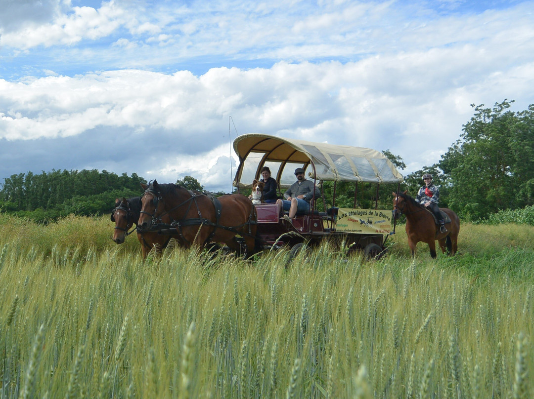 Les Attelages de la Bievre-Saint-Hilaire-de-la-Cote必去景点