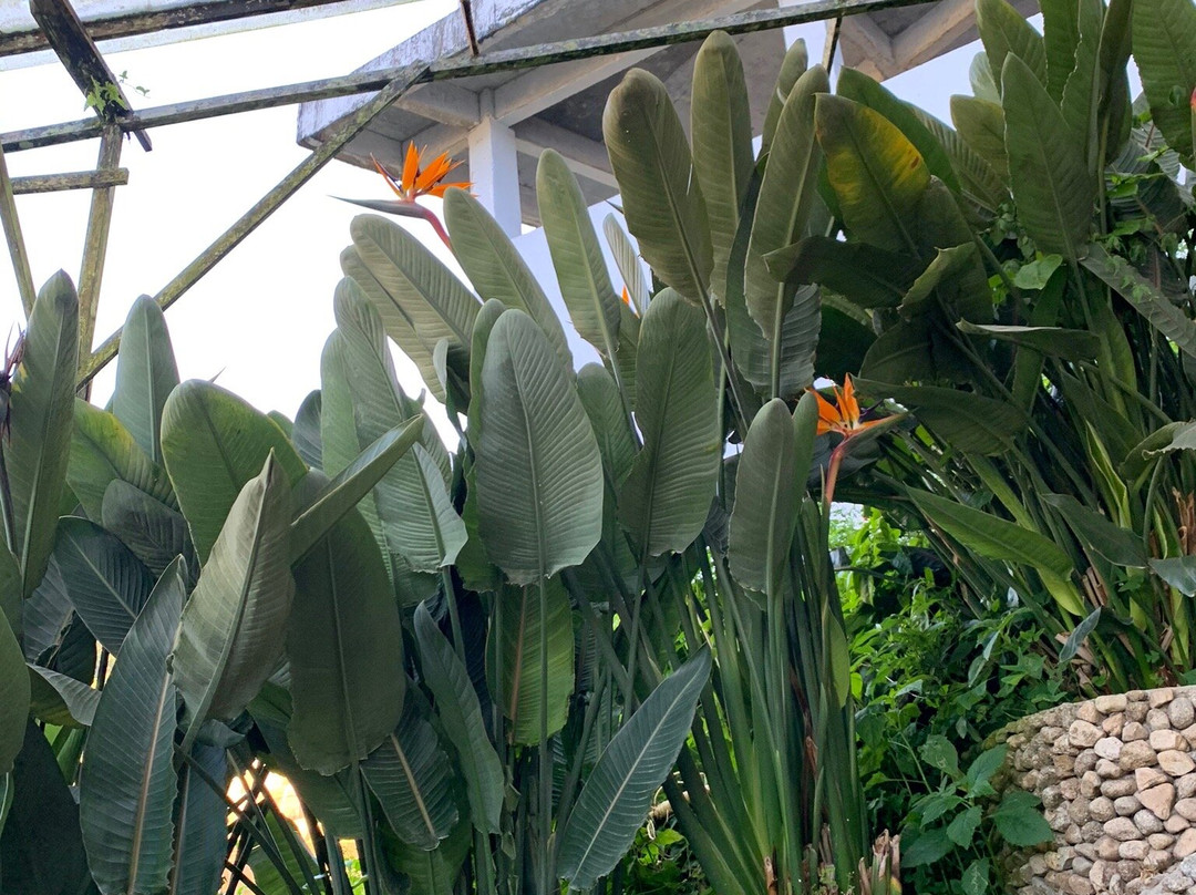 Cactus Valley景点图片