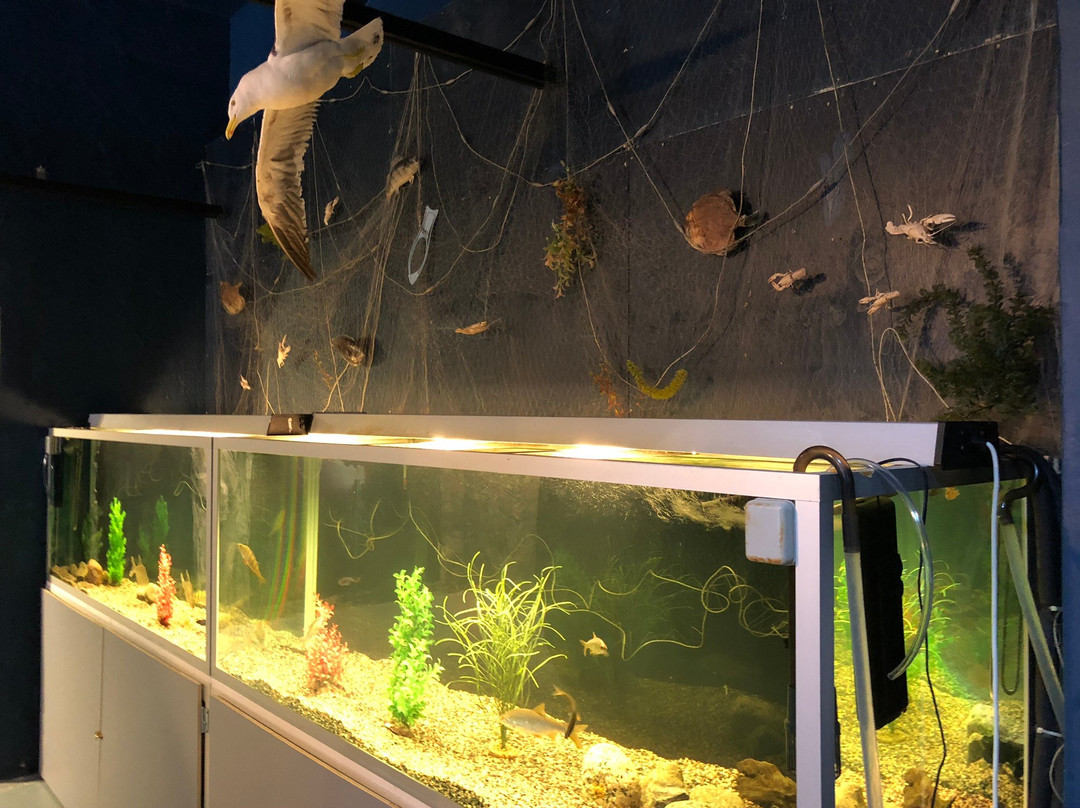 The Recreational Fishing Museum of Finland-Asikkala必去景点