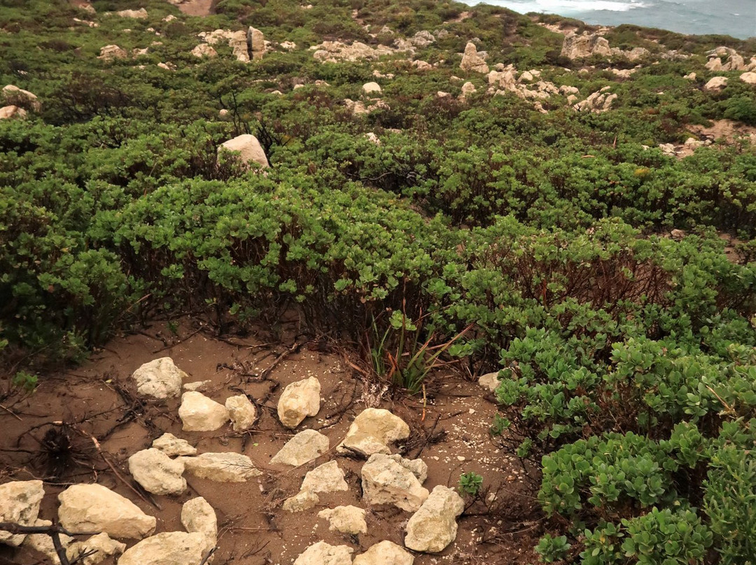 Point d’Entrecasteaux-Northcliffe必去景点