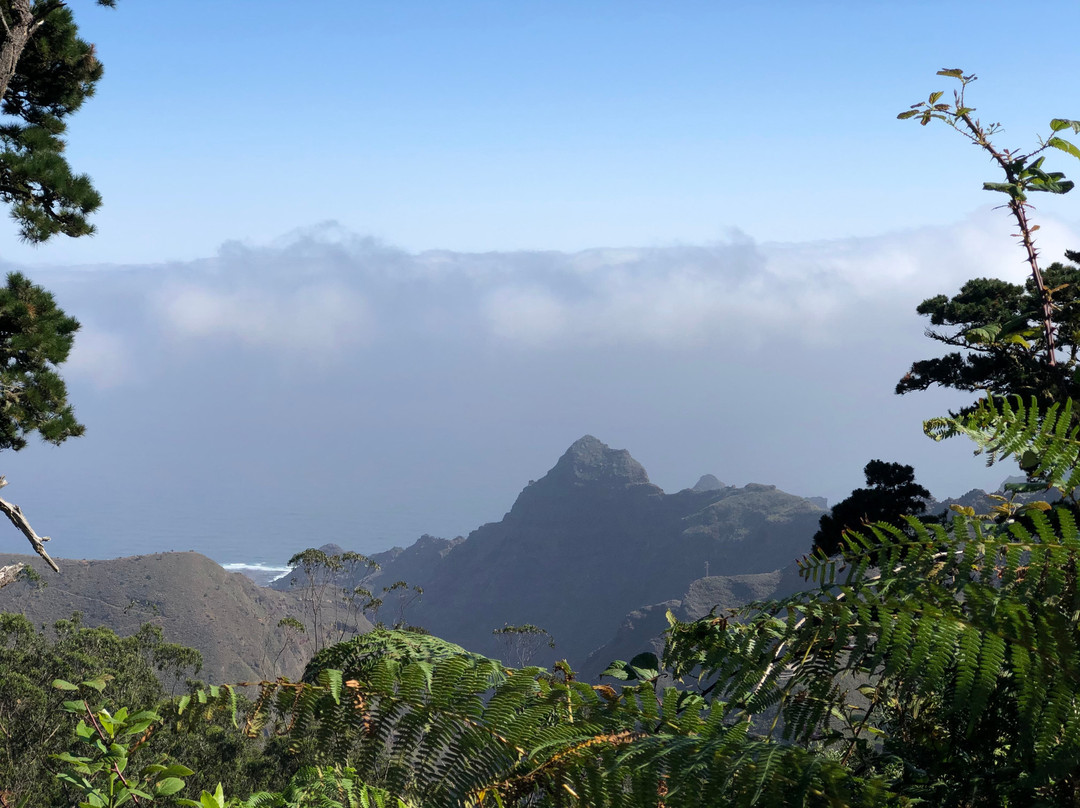 One Day In Tenerife-圣克鲁斯-德特内里费必去景点