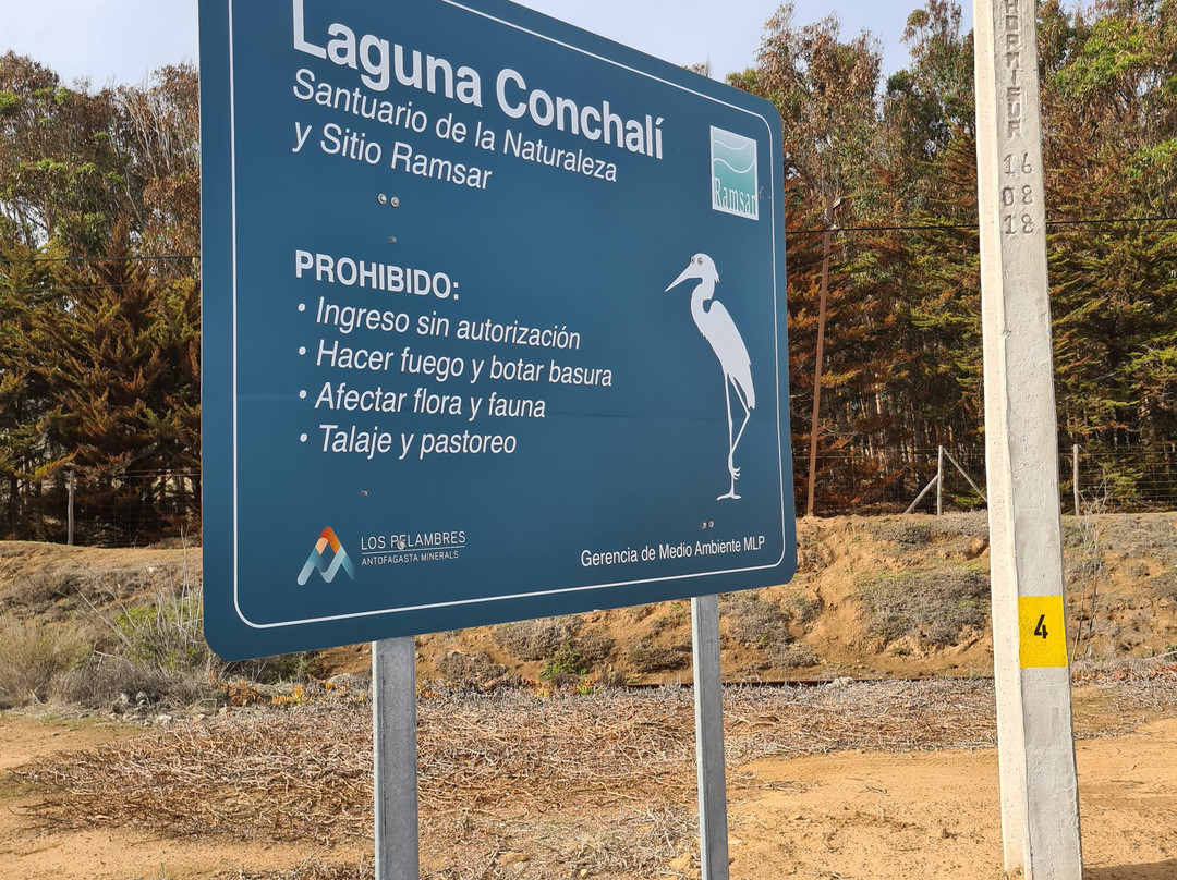 Humedal Laguna Conchali-Los Vilos必去景点