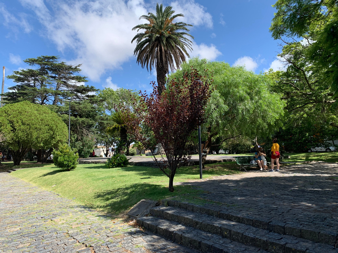 Plaza Mayor-科洛尼亚·德尔萨克拉门托城必去景点