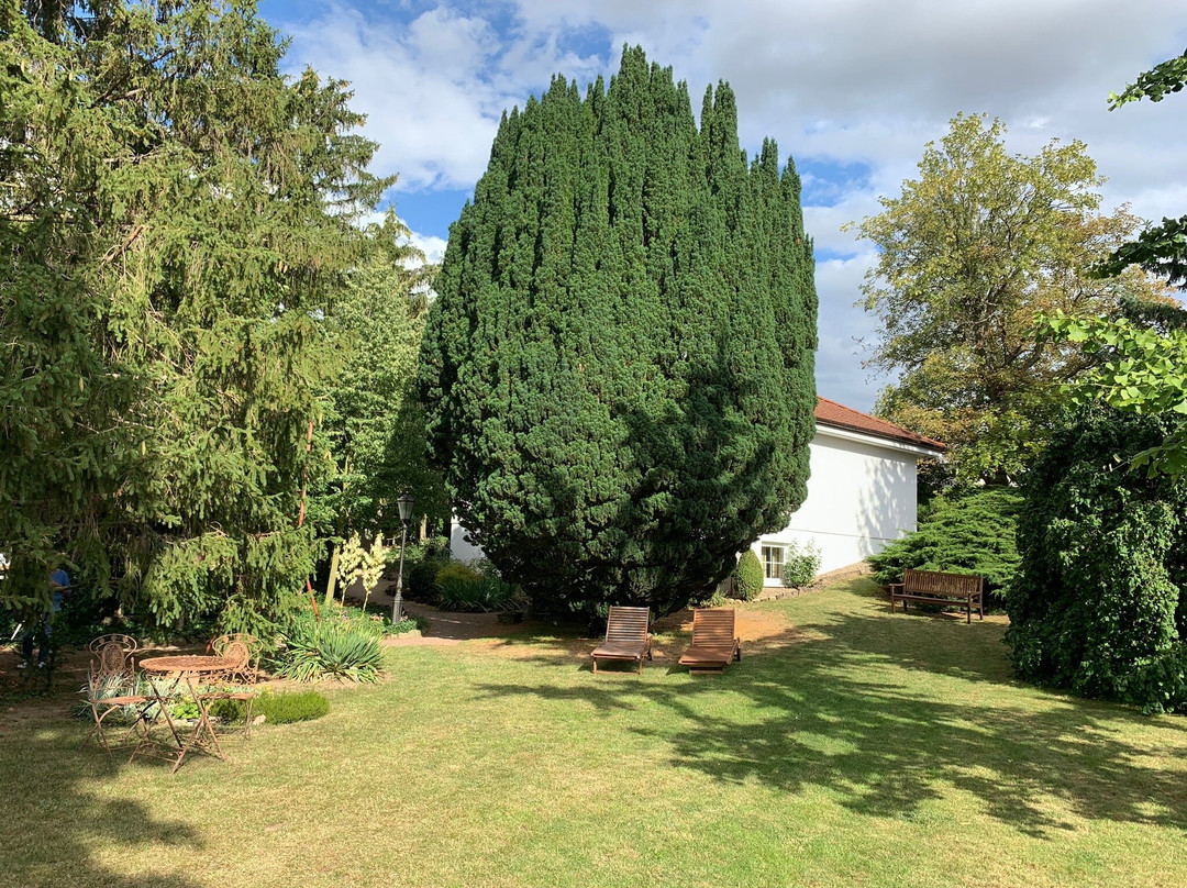 Flomborn旅游攻略图片