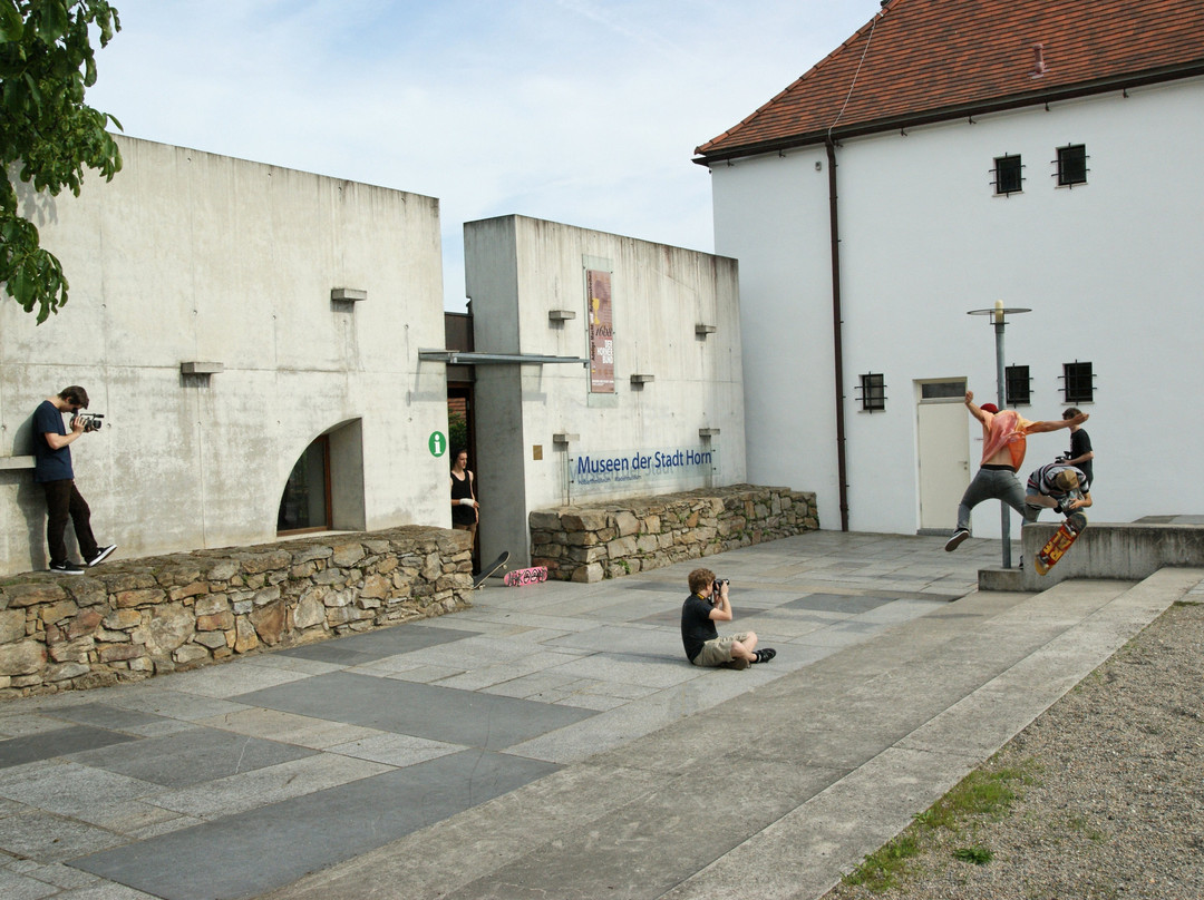 Hoebart Museum Horn景点图片