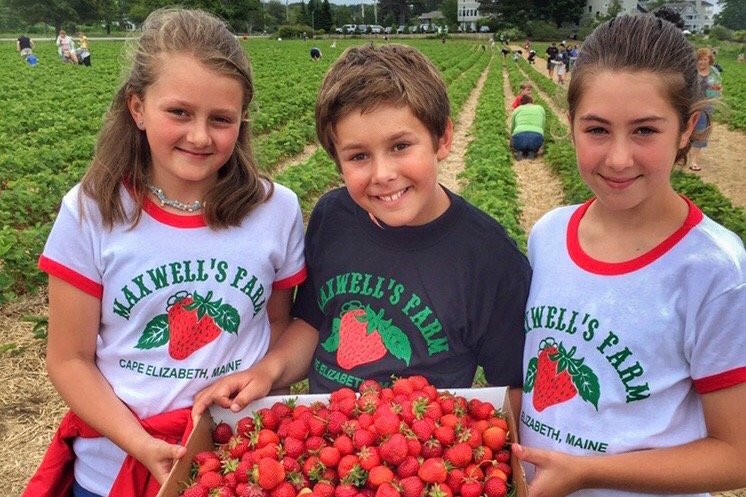 Maxwells Farm-开普伊丽莎白必去景点