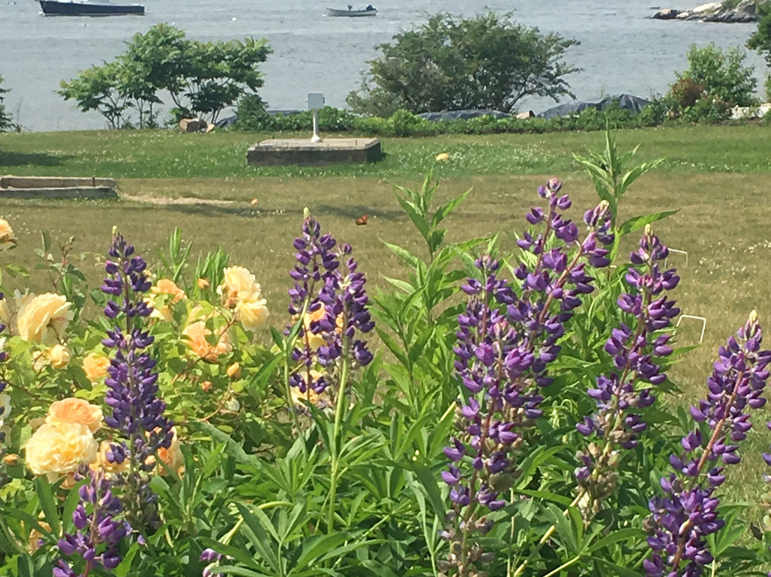 Sebasco Harbor Resort & Golf Club主图