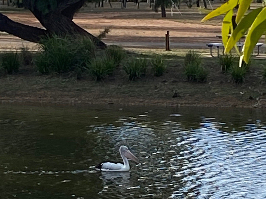 Hoods Lagoon-Clermont必去景点