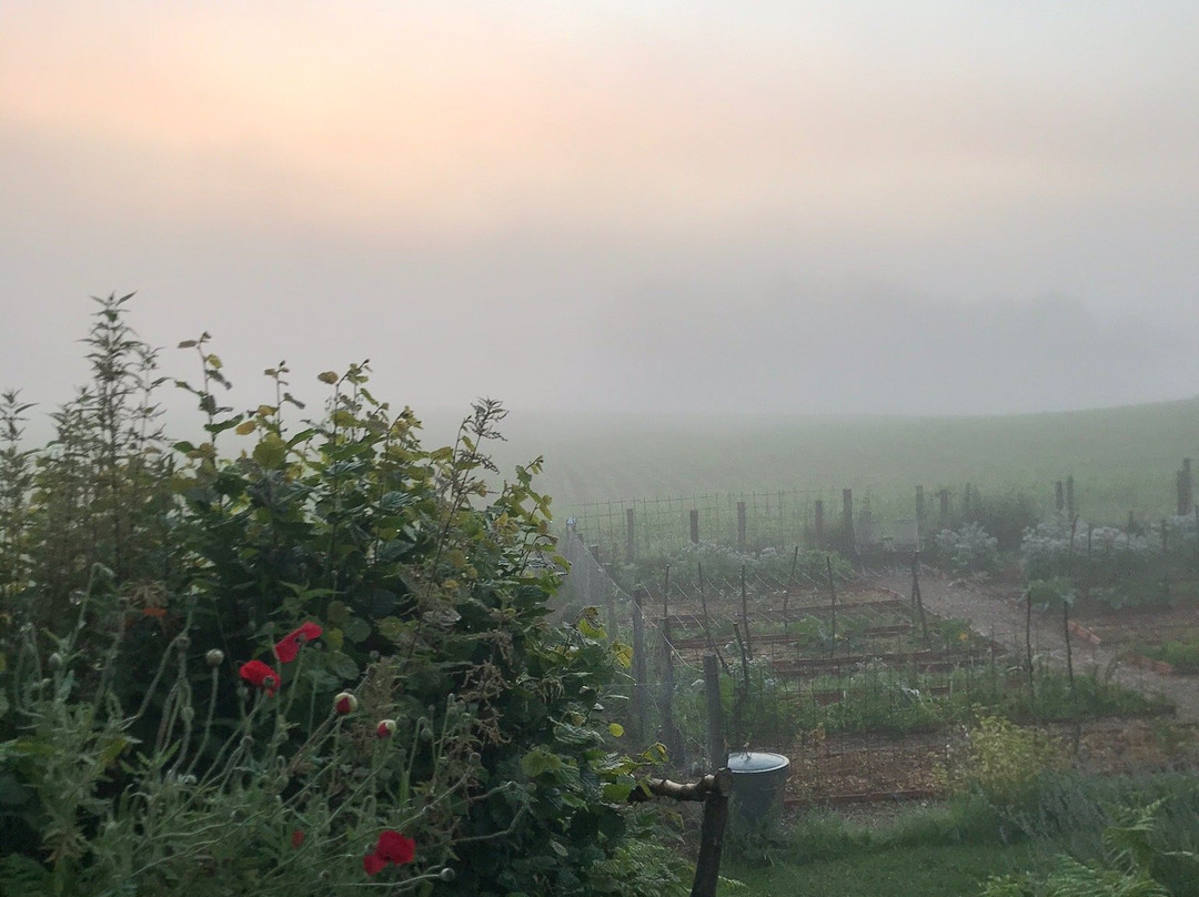 Domaine Les Filloux主图