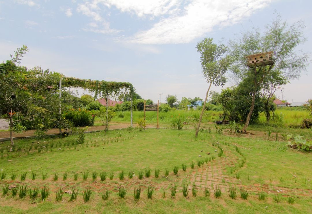 Bua Guesthouse主图