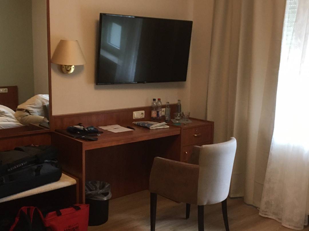 伽尼酒店昂德灵格图姆店主图