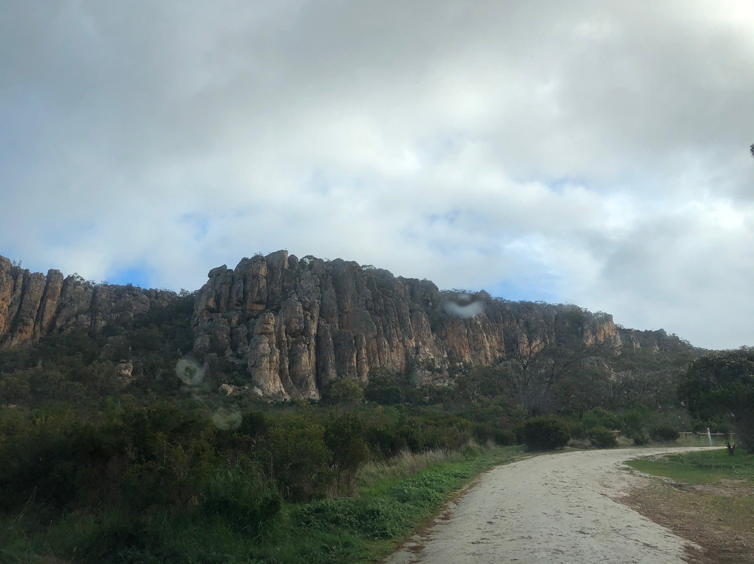 Centenary Park Camping景点图片