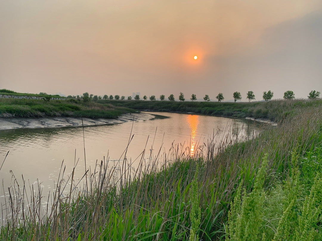Gaetgol Eco Park-始兴市必去景点