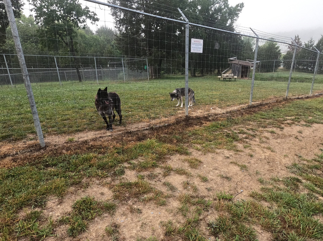 Wolf Paws Positive Awareness Wolfdog Sanctuary-Dandridge必去景点