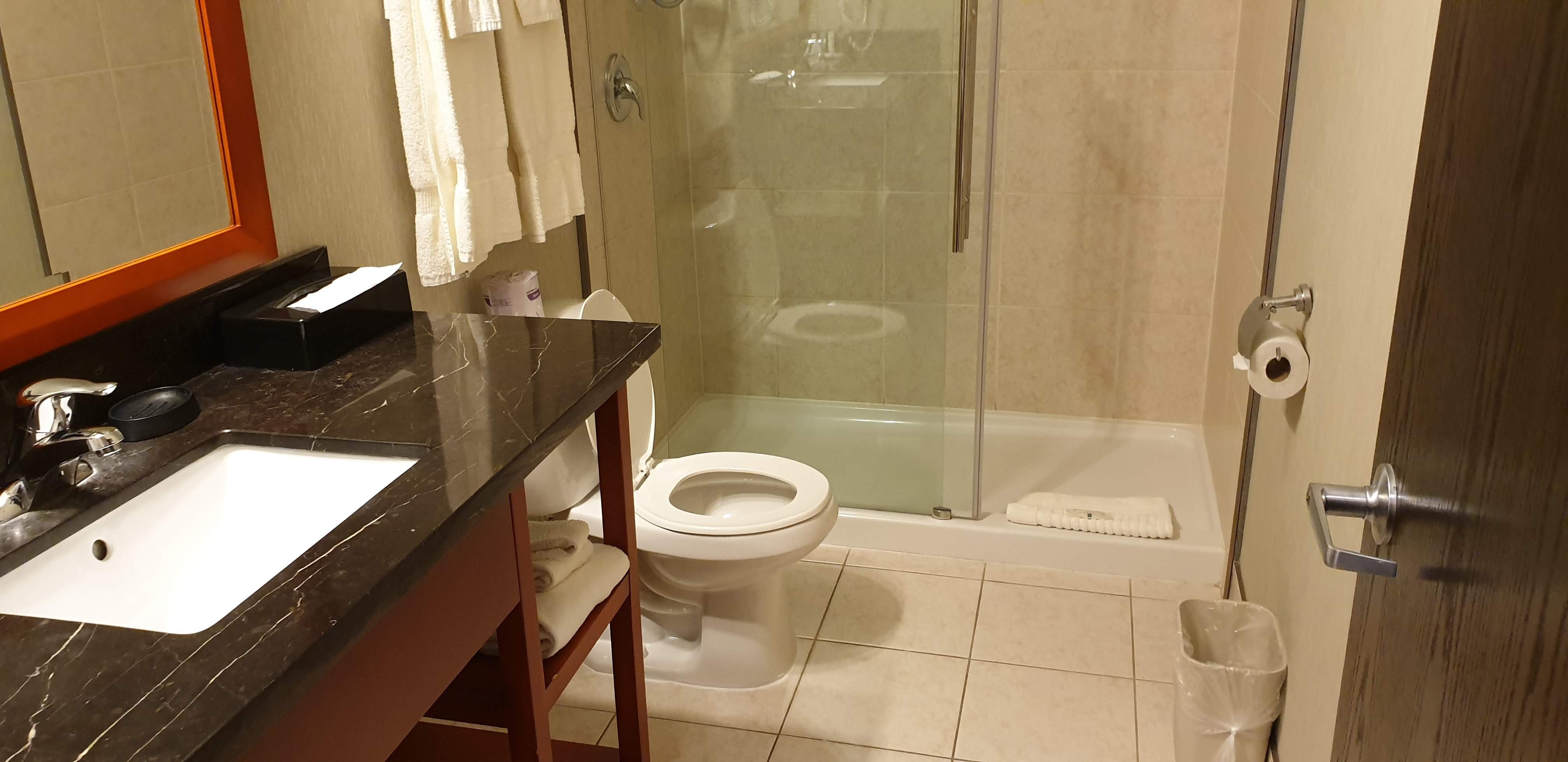 Quality Inn-浴室
