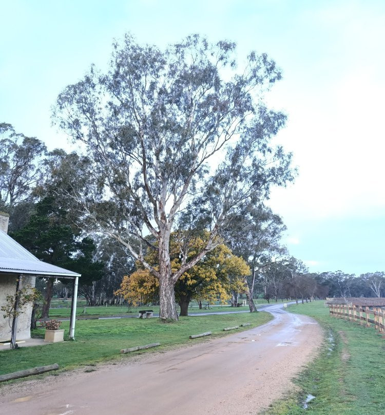 Best's Wines Great Western-Great Western必去景点