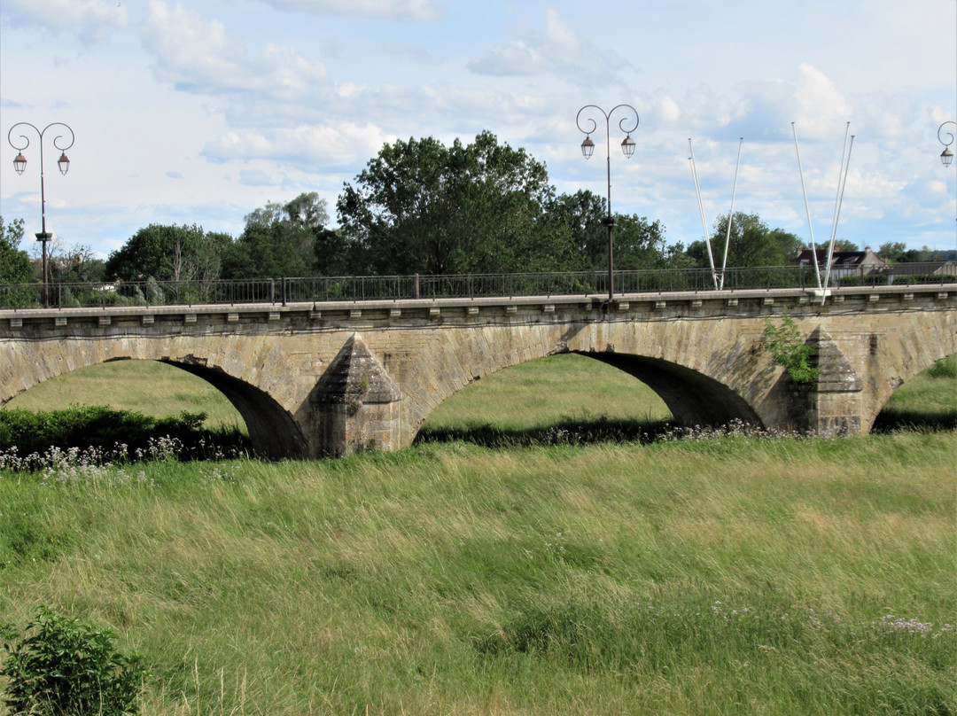 Pont de la Vieille Loire景点图片