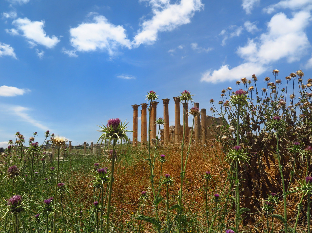 North Theatre-杰拉什必去景点