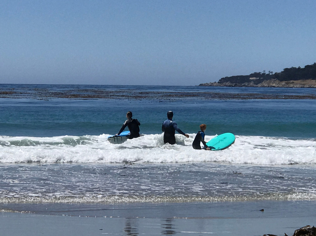 South Bay Surf Lessons景点图片
