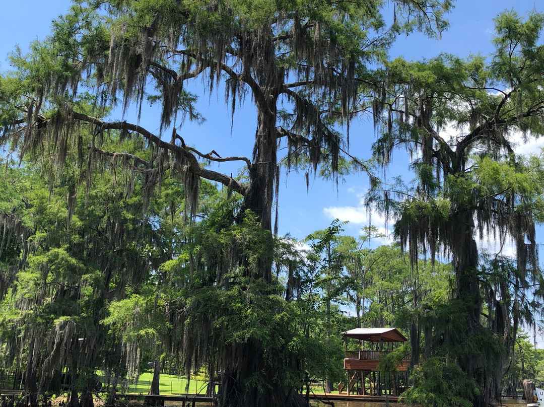 Mystique Tours Caddo - Private Tours-Karnack必去景点