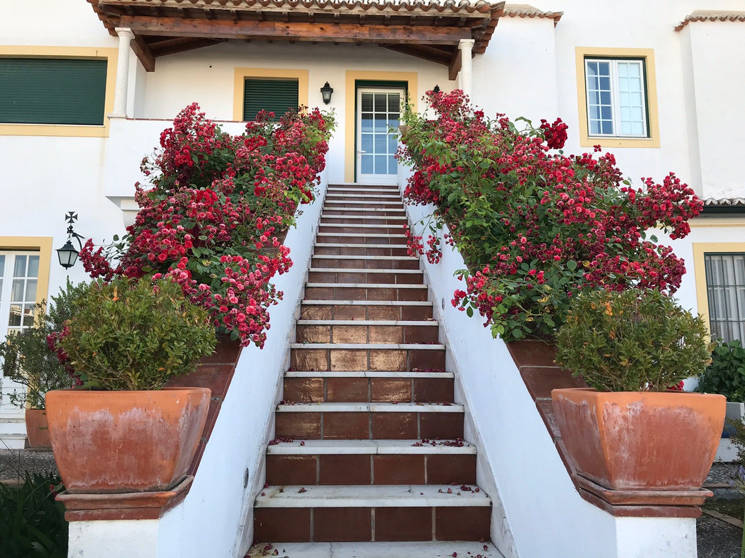 Casa do Colegio Velho主图