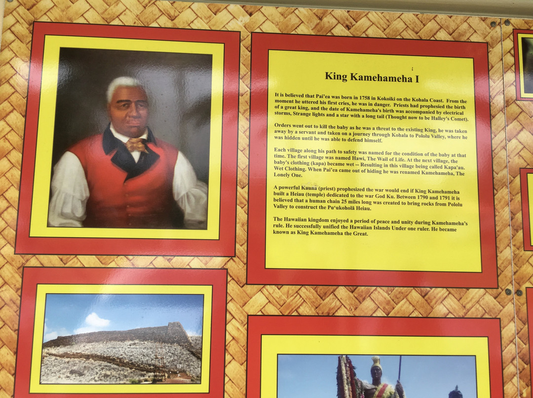 Ackerman Galleries-卡帕奥必去景点