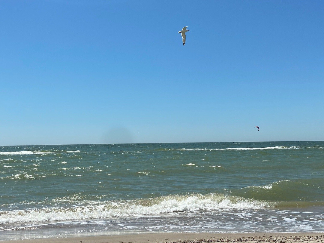 Villa San Remo主图