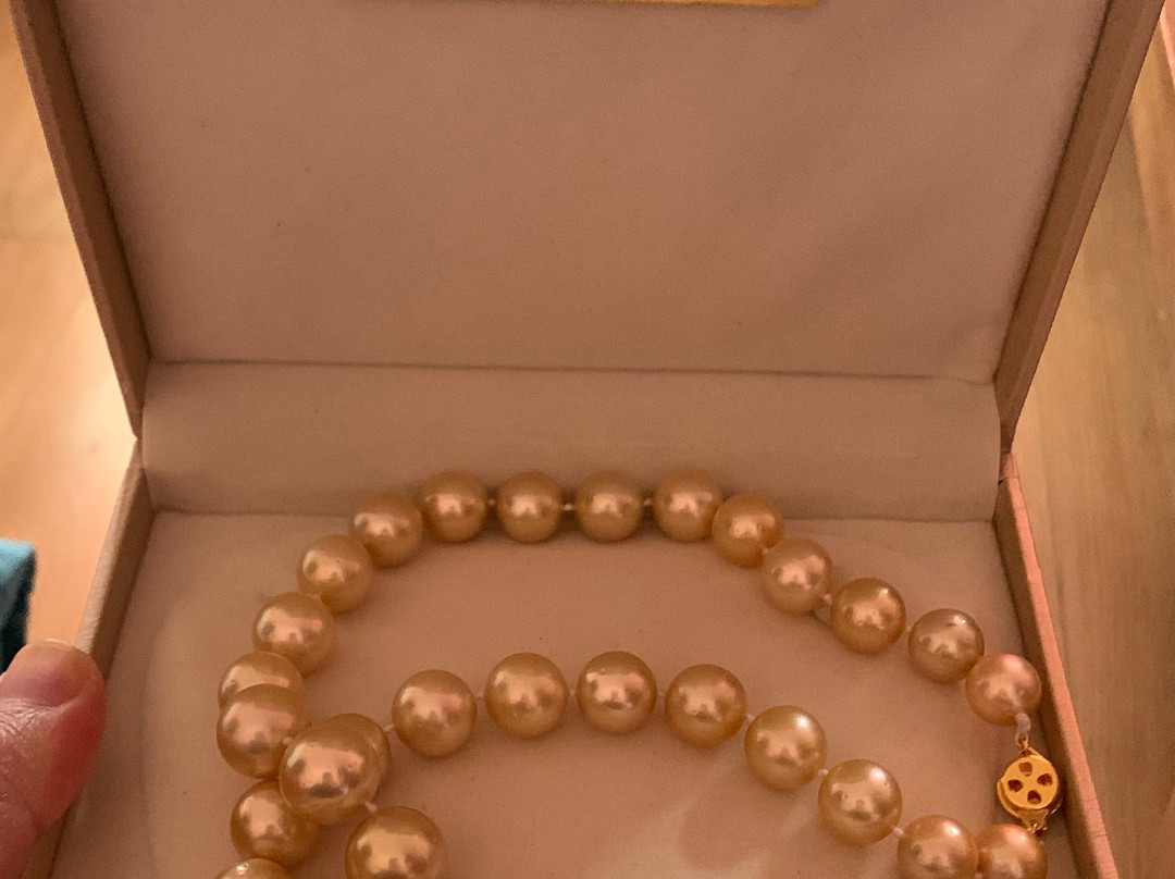 Sri Jagdamba Pearls-双子城必去景点