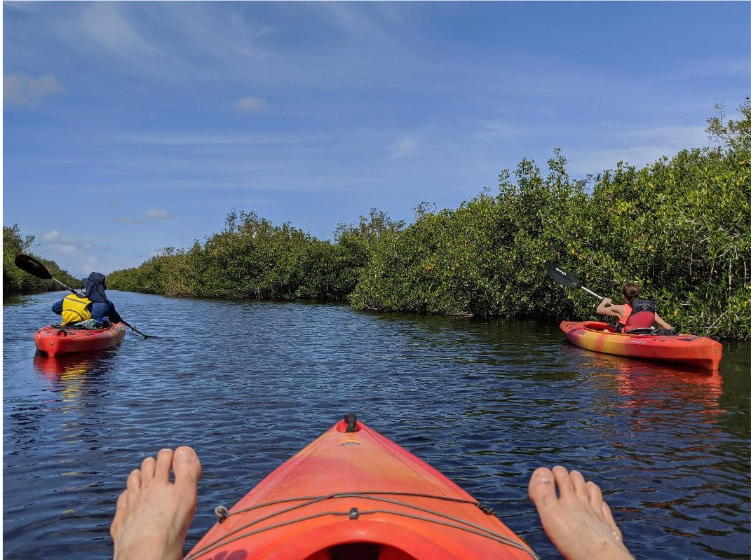 Everglades Area Tours景点图片