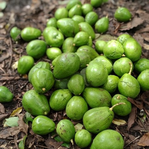 Zanzibar Crystal Tours & Safaris-Kiembi Samaki必去景点