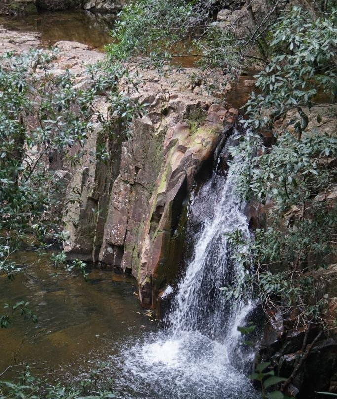 Coorabakh National Park景点图片